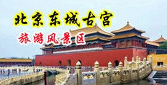 淫液喷射中国北京-东城古宫旅游风景区